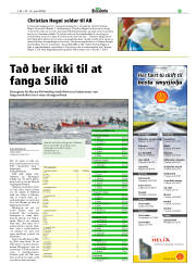Síða 25