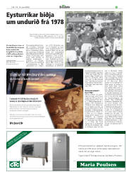 Síða 27