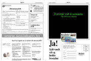 Síða 15
