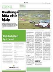 Síða 2