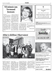 Síða 13
