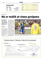 Síða 20