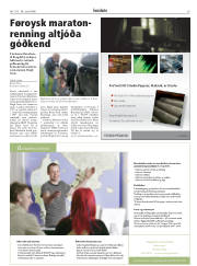 Síða 29