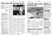 Síða 3
