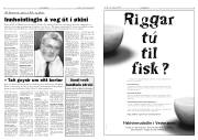 Síða 3