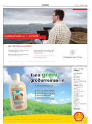 Síða 6