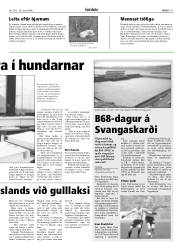 Síða 11