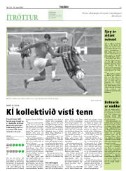 Síða 17