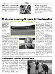 Síða 22