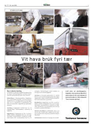 Síða 3