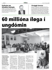 Síða 8