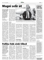Síða 13