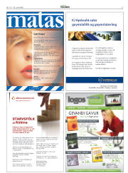 Síða 27