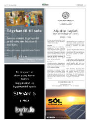 Síða 41