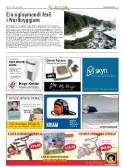 Síða 53