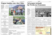 Síða 2