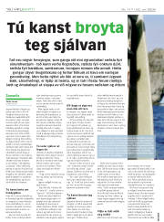 Síða 16