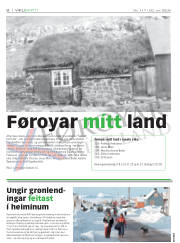 Síða 8