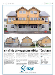 Síða 19