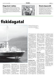 Síða 13