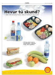 Síða 6