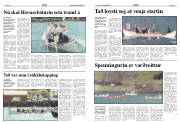 Síða 7