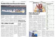 Síða 8