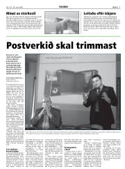 Síða 11