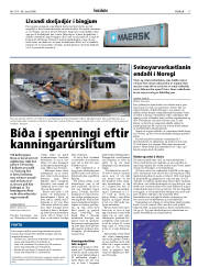 Síða 17