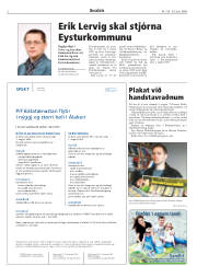 Síða 2