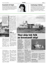 Síða 11