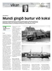 Síða 17