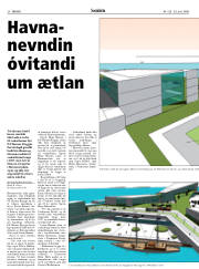 Síða 20