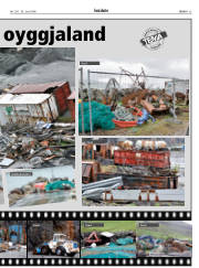 Síða 25