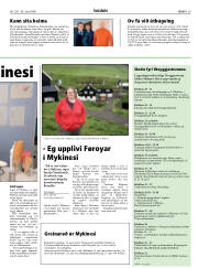 Síða 29