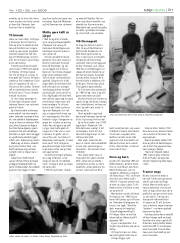 Síða 31