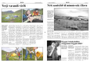 Síða 3