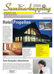 Síða 43