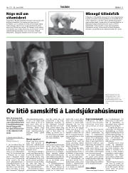 Síða 11