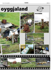 Síða 43