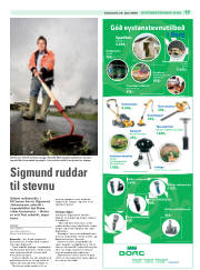 Síða 17