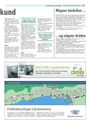 Síða 19