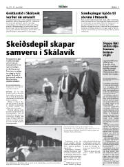 Síða 11