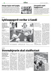 Síða 20