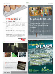 Síða 53