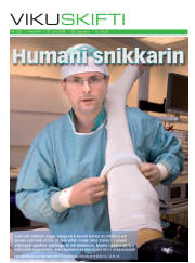 Síða 1