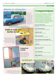 Síða 9
