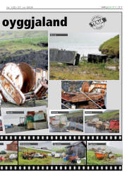Síða 11