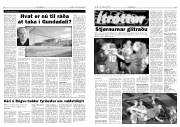 Síða 7