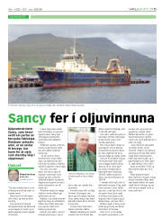 Síða 15